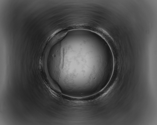 X0000087740777200705071052