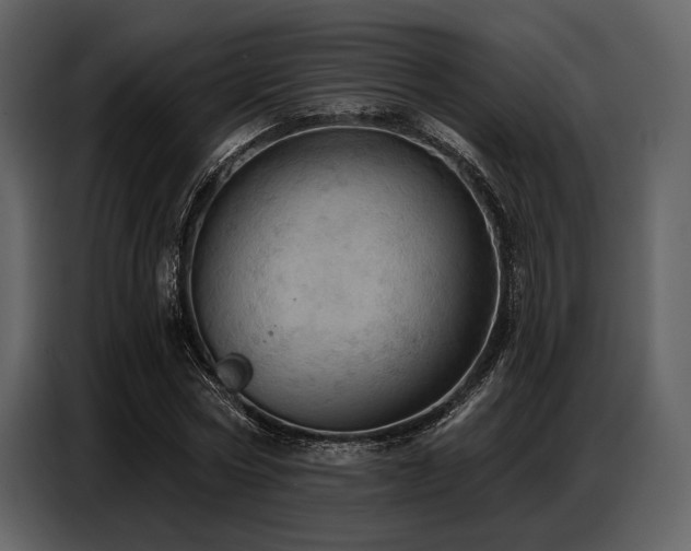 X0000087740778200705071052