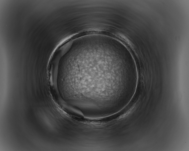 X0000087740779200705071052