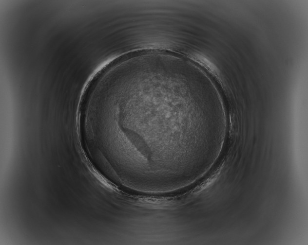 X0000087740780200705071052