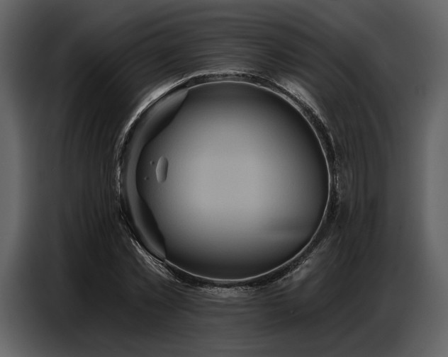 X0000087740781200705071052