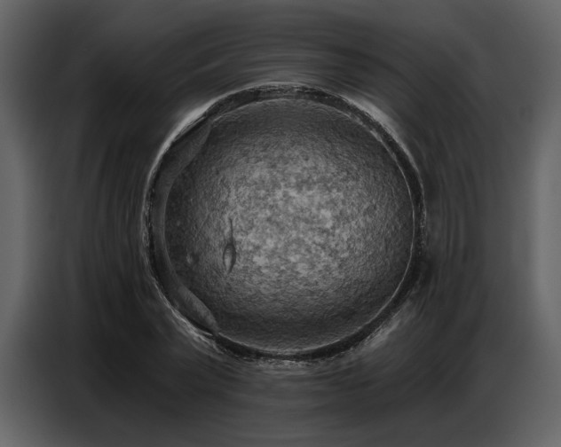 X0000087740783200705071052