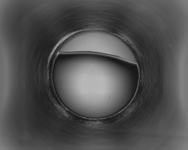 X0000087740784200705071052