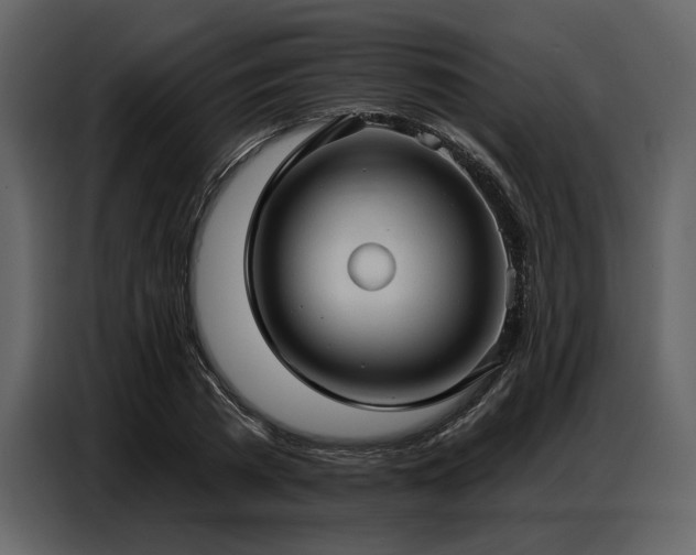 X0000087740785200705071052