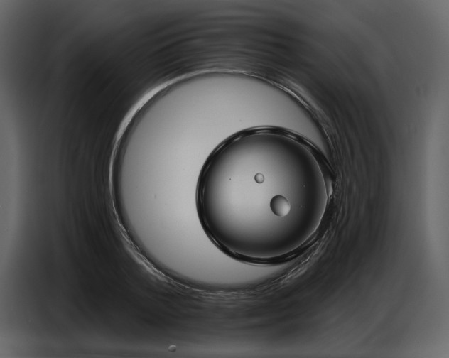 X0000087740788200705071051