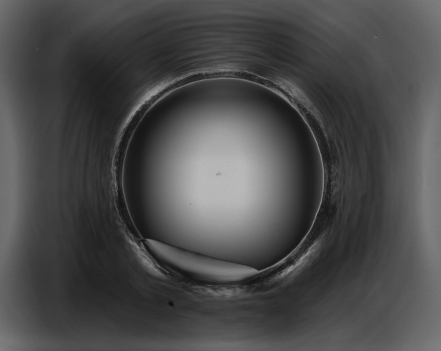 X0000087740789200705071051