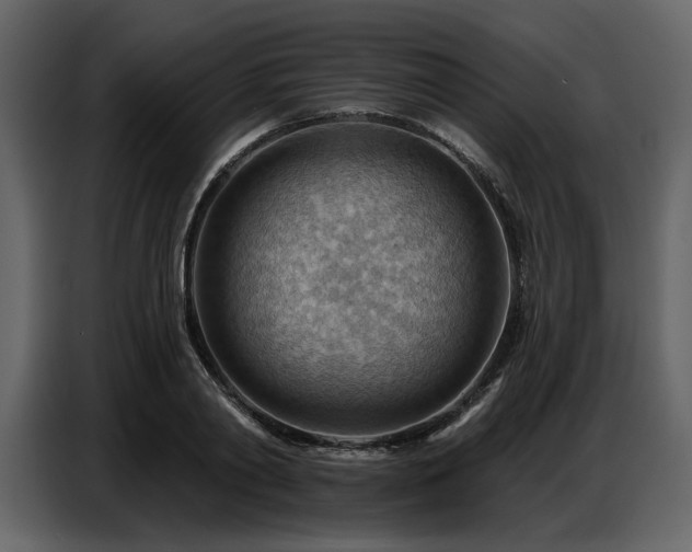 X0000087740790200705071051