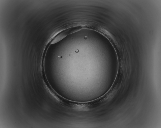 X0000087740794200705071051