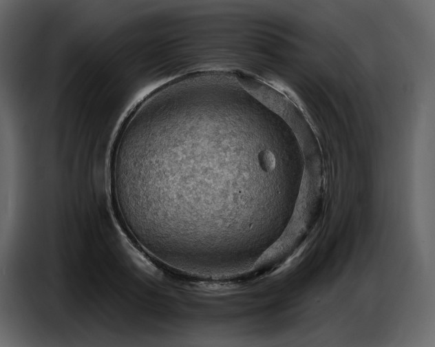 X0000087740795200705071051