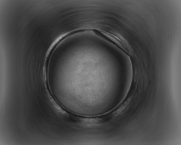 X0000087740796200705071051