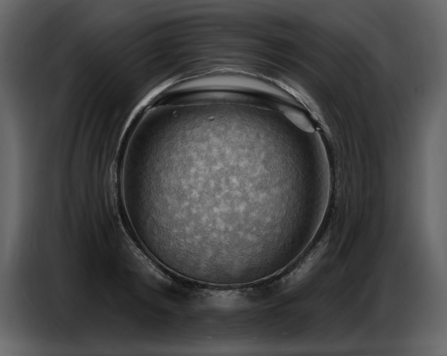 X0000087740798200705071051