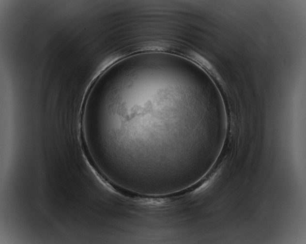 X0000087740802200705071051