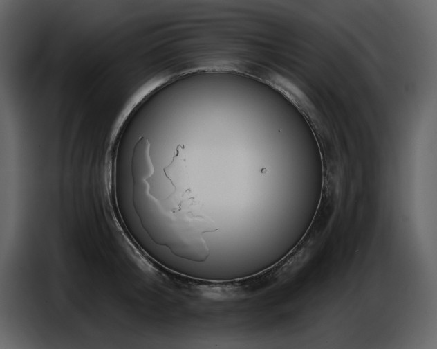 X0000087740804200705071051