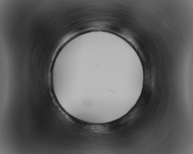 X0000087740807200705071051