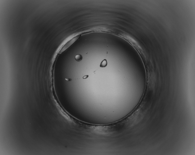X0000087740808200705071051