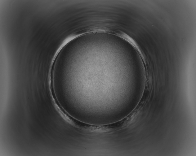 X0000087740811200705071051