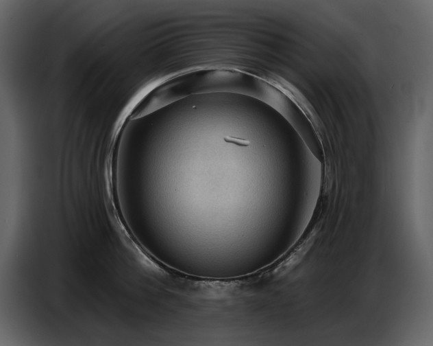 X0000087740812200705071051