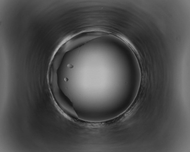 X0000087740813200705071051