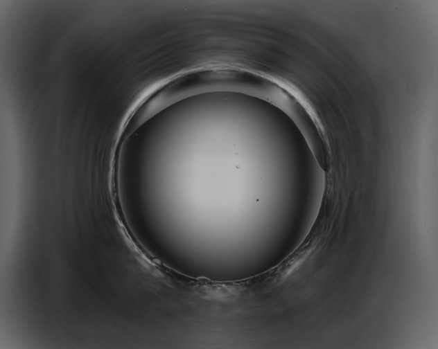 X0000087740815200705071051
