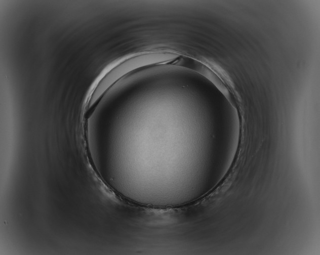 X0000087740816200705071051