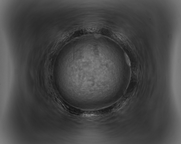 X0000087740817200705071050