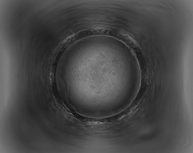 X0000087740821200705071051