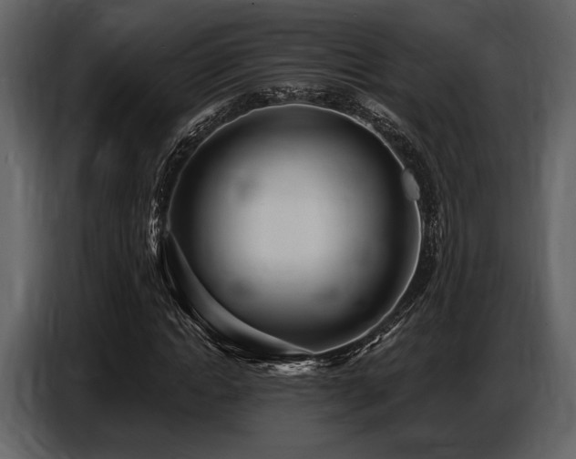 X0000087740822200705071051