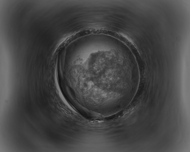 X0000087740823200705071051