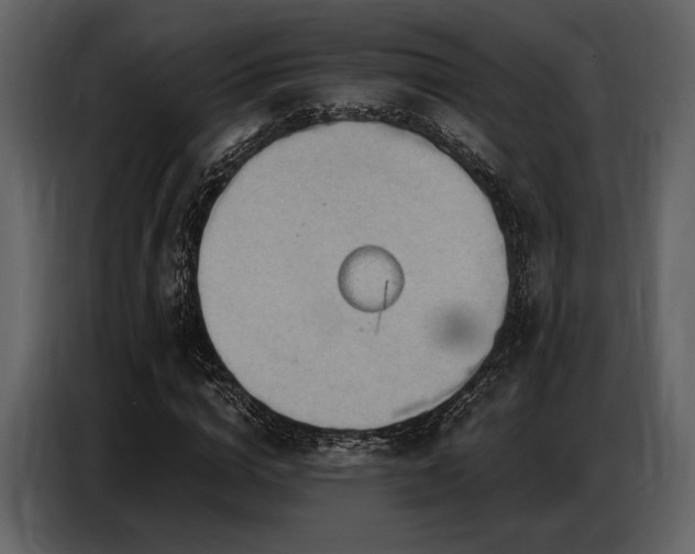 X0000087740824200705071051