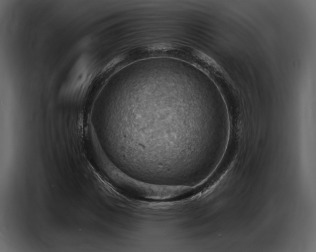 X0000087740825200705071051
