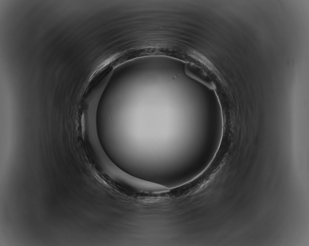 X0000087740826200705071051