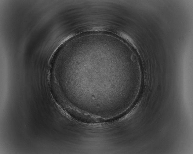 X0000087740827200705071051
