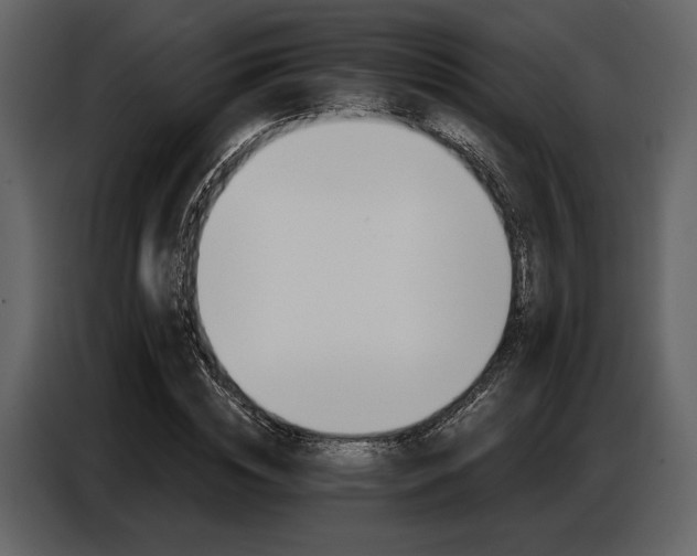 X0000087740828200705071051