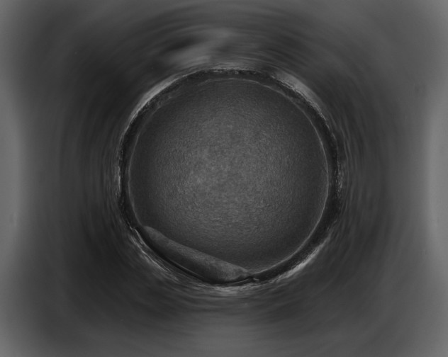 X0000087740829200705071051