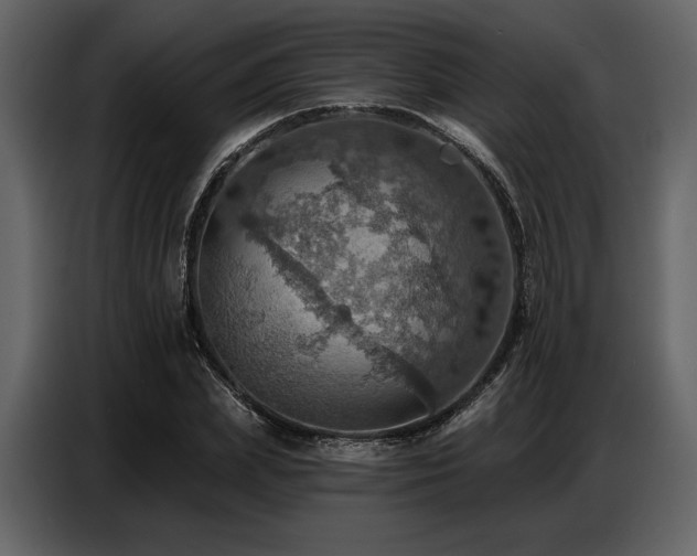 X0000087740831200705071051