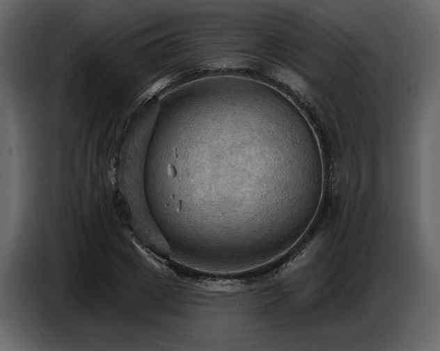 X0000087740833200705071051