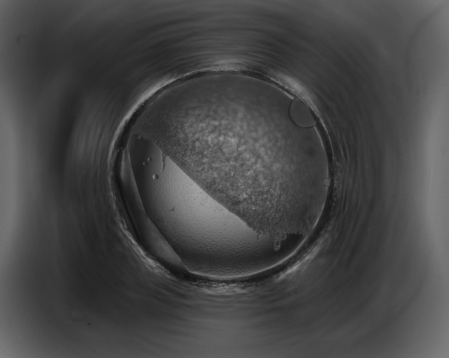 X0000087740835200705071051