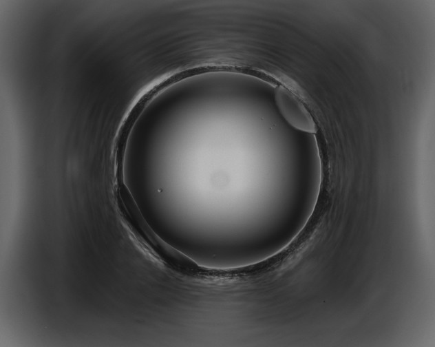 X0000087740838200705071051
