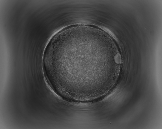 X0000087740839200705071051