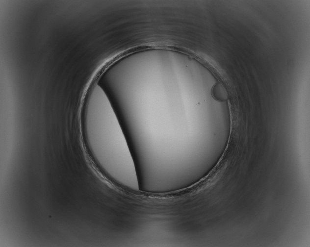 X0000087740840200705071051