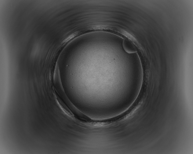 X0000087740841200705071051