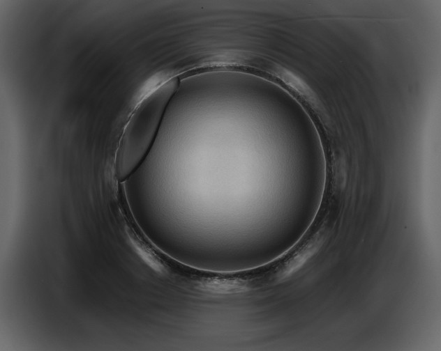 X0000087740842200705071051
