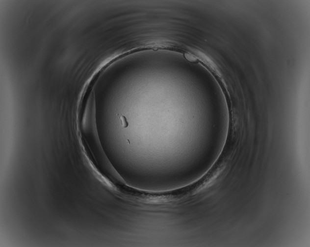 X0000087740843200705071051