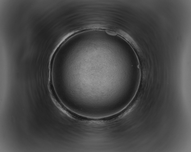 X0000087740844200705071051