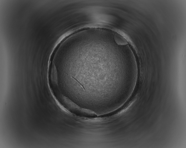 X0000087740845200705071051