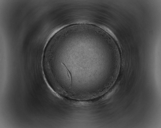 X0000087740847200705071051