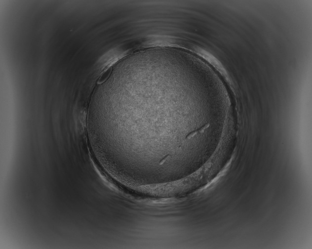 X0000087740849200705071051