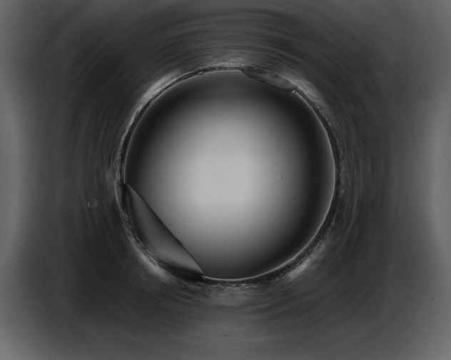 X0000087740850200705071051