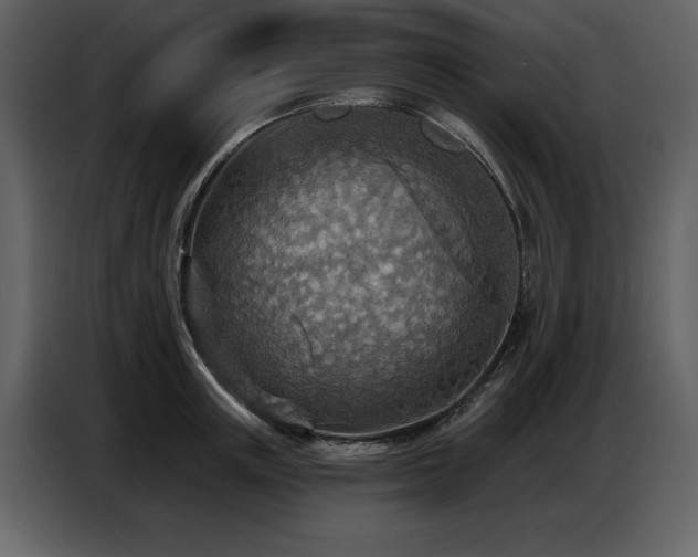 X0000087740851200705071051