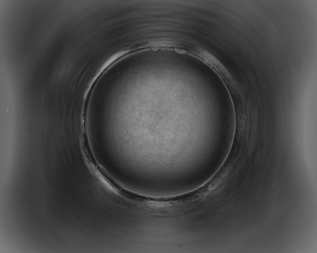 X0000087740852200705071051